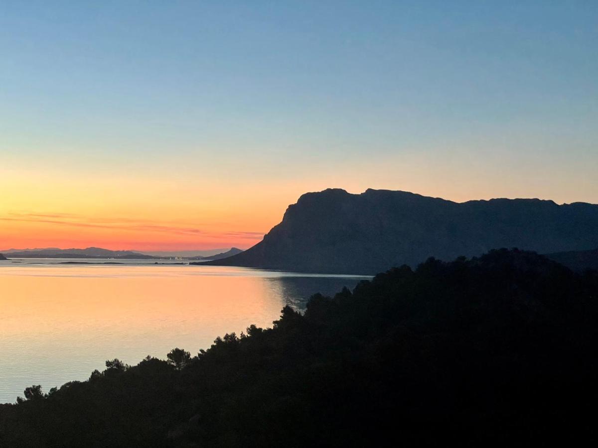 카파코다카발로 San Teodoro Punta Est Fantastico Trilocale Vista Mare 아파트 외부 사진