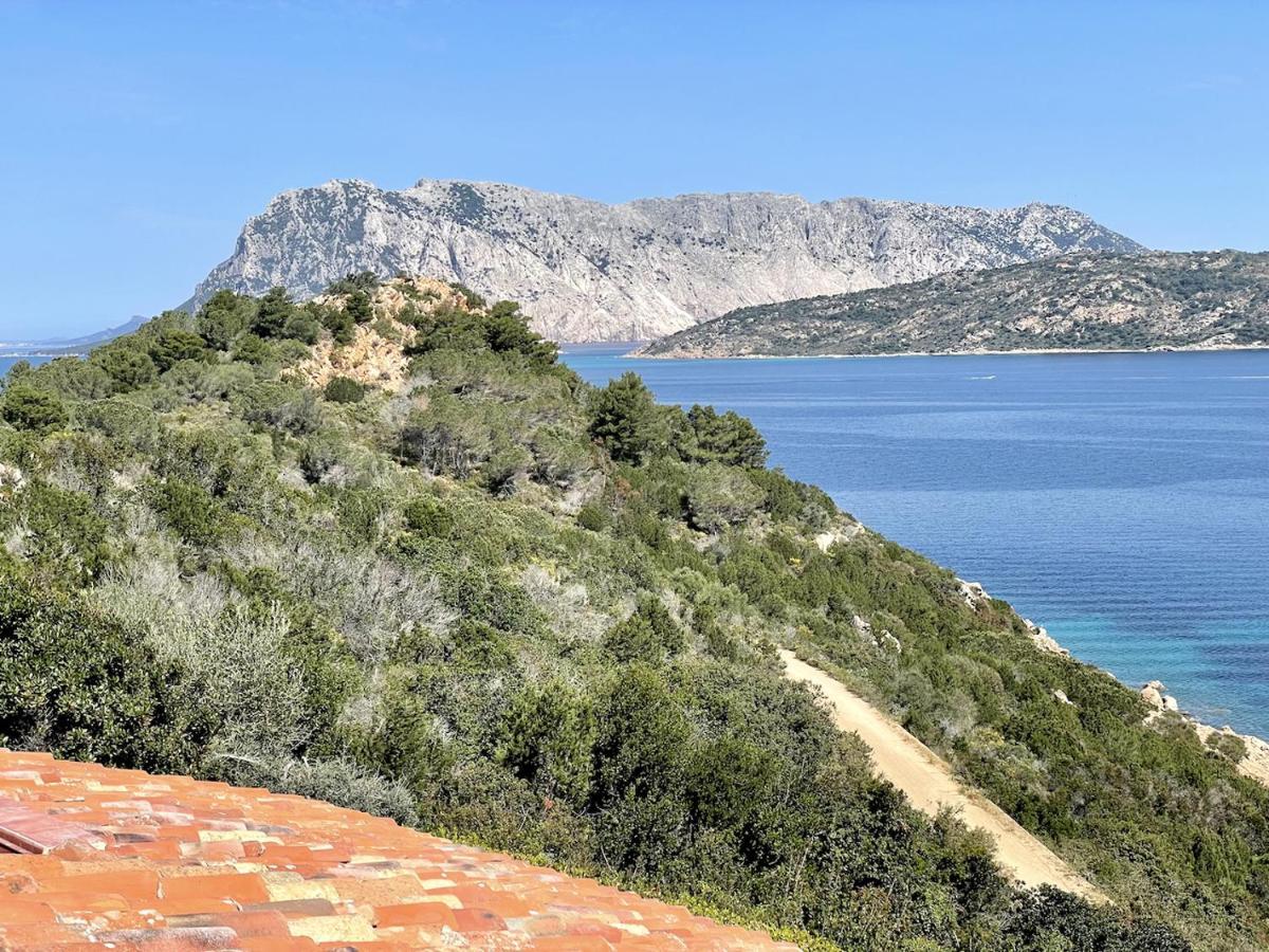 카파코다카발로 San Teodoro Punta Est Fantastico Trilocale Vista Mare 아파트 외부 사진