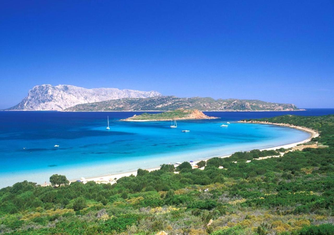 카파코다카발로 San Teodoro Punta Est Fantastico Trilocale Vista Mare 아파트 외부 사진