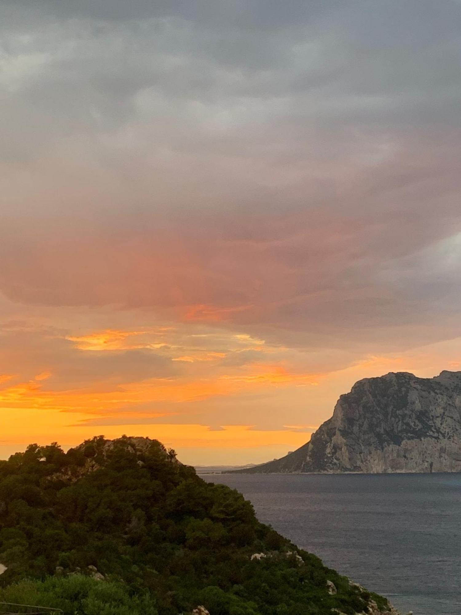 카파코다카발로 San Teodoro Punta Est Fantastico Trilocale Vista Mare 아파트 외부 사진